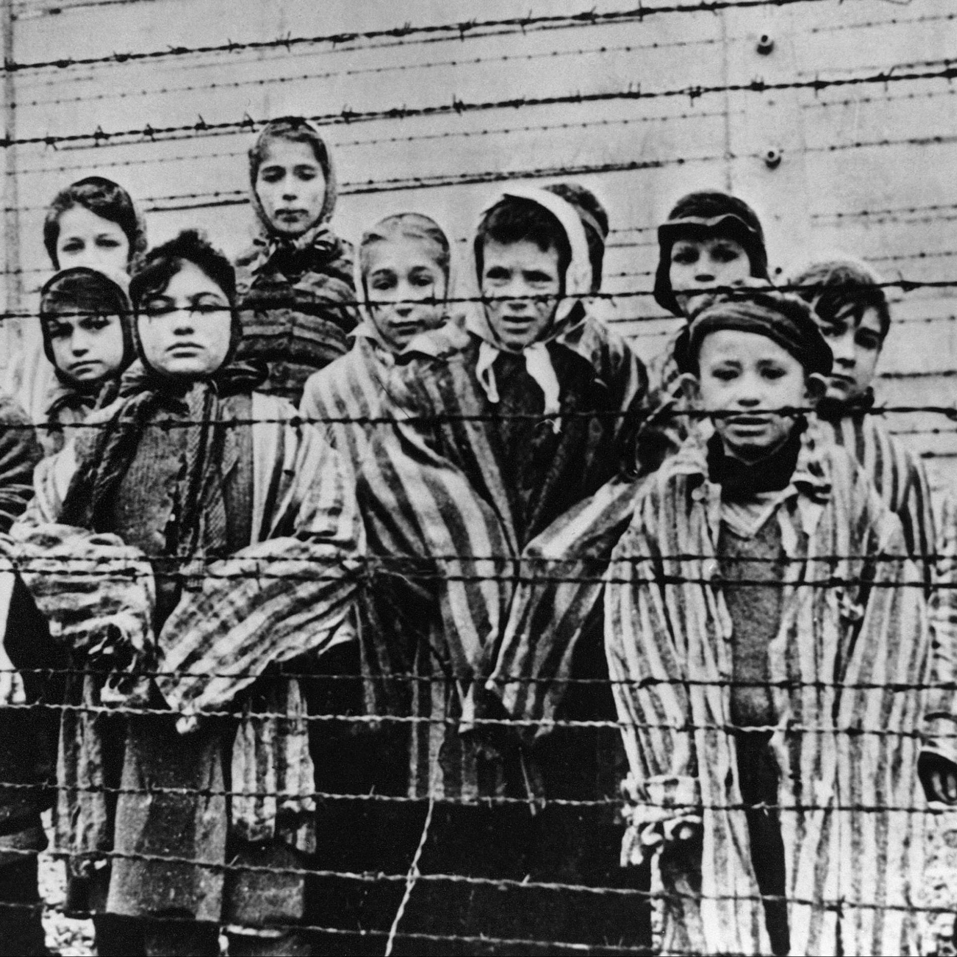 80 ans de la Libération du camp d'Auschwitz-Birkenau episode artwork