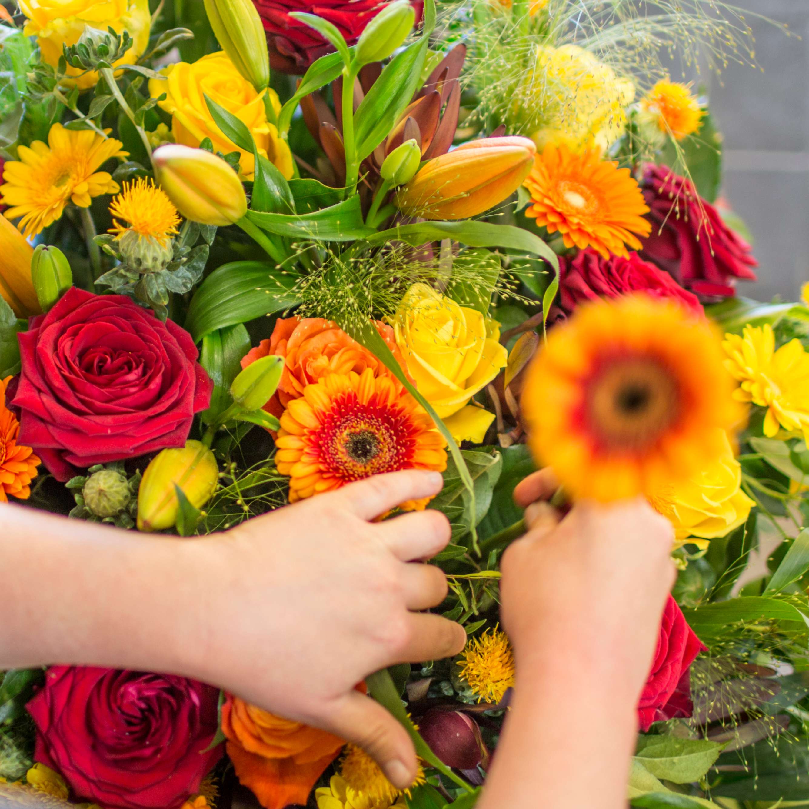 Des pesticides toxiques dans nos fleurs episode artwork