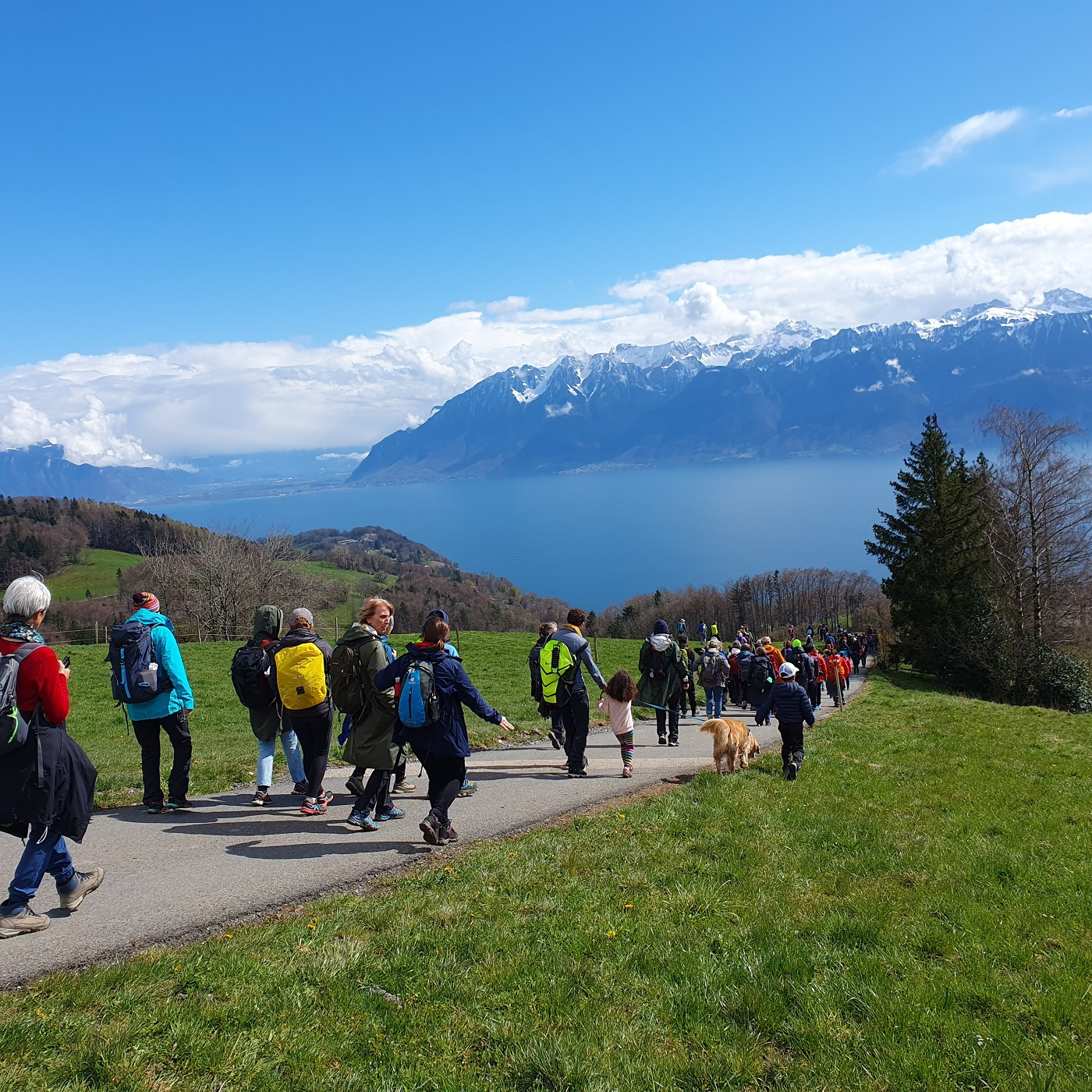 Marcher pour dénoncer l'urgence climatique episode artwork